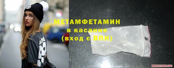 шишки Абаза