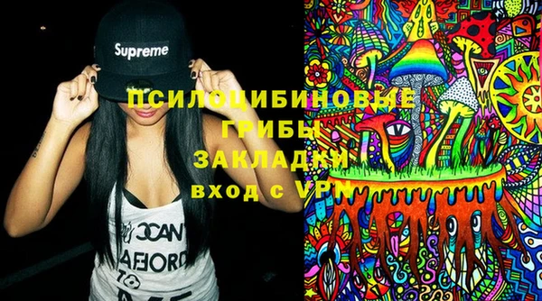 шишки Абаза