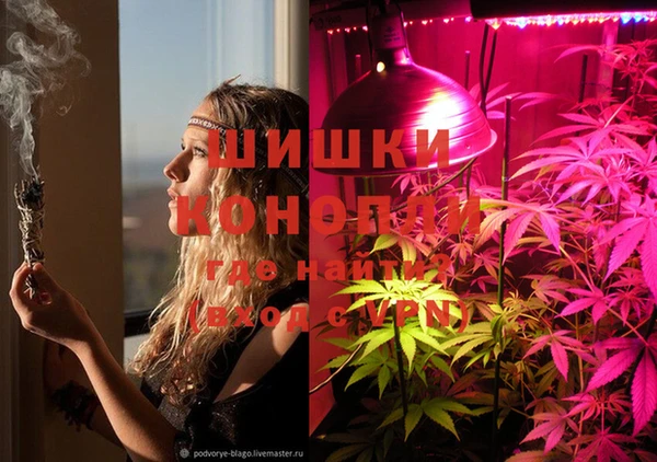 шишки Алексин