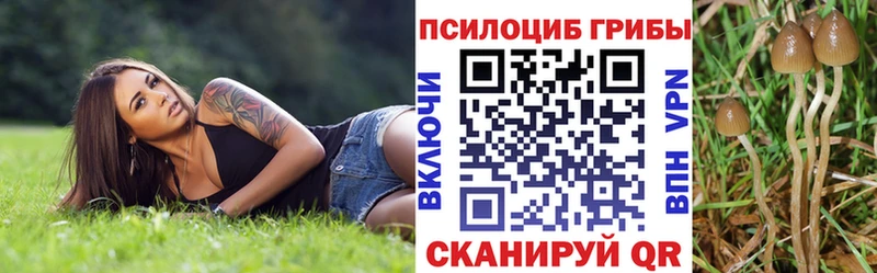 где купить   Назрань  Псилоцибиновые грибы прущие грибы 